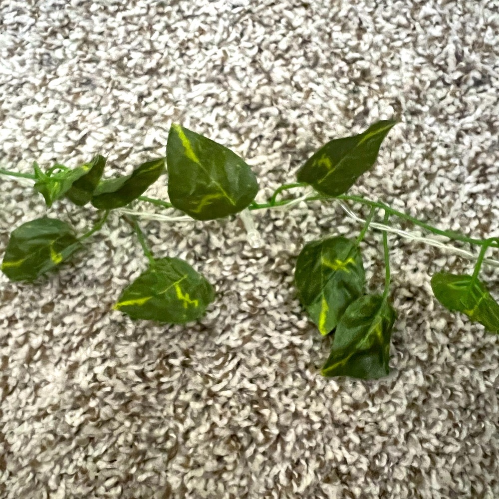 Fake ivy with lights. Wall hanging